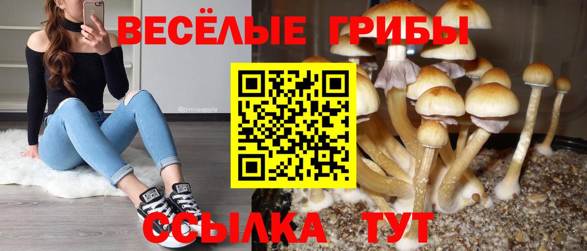 Псилоцибиновые грибы Magic Shrooms  дарнет шоп  Котельники  Вход с VPN 