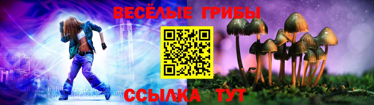 Галлюциногенные грибы Cubensis Котельники